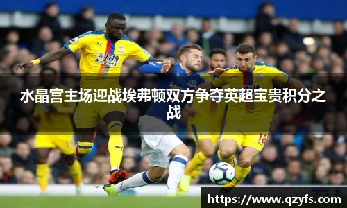 水晶宫主场迎战埃弗顿双方争夺英超宝贵积分之战
